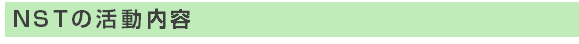 NSTの活動内容