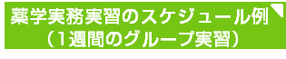 薬学実務実習スケジュール例